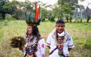 Imagen Galería